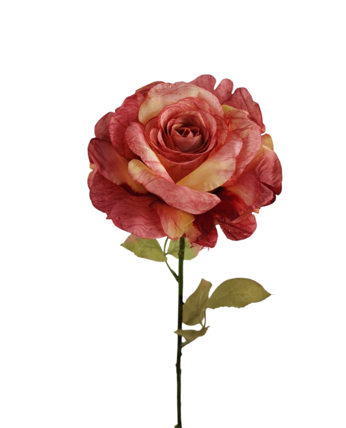 ROSA SPRAY X1 63CM SA