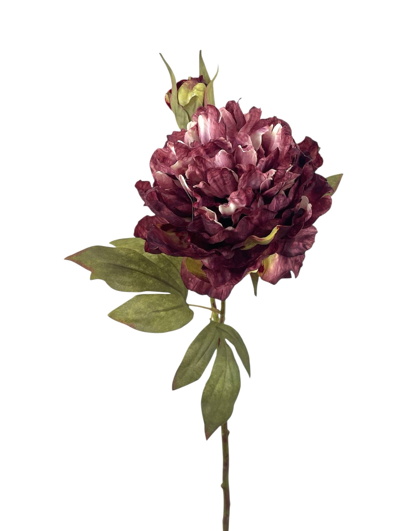 PEONIA SPRAY X2 49CM BU
