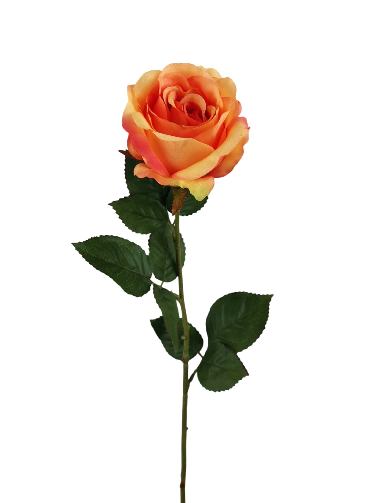 ROSA SPRAY X1 63CM OR