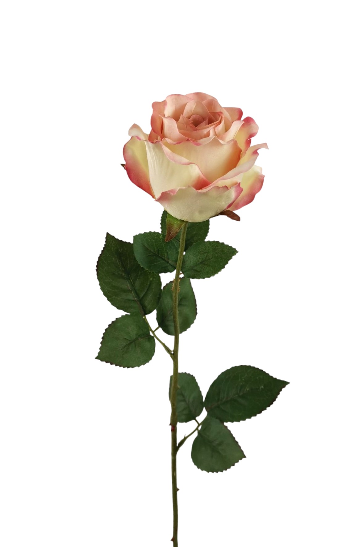 ROSA SPRAY X1 63CM SA