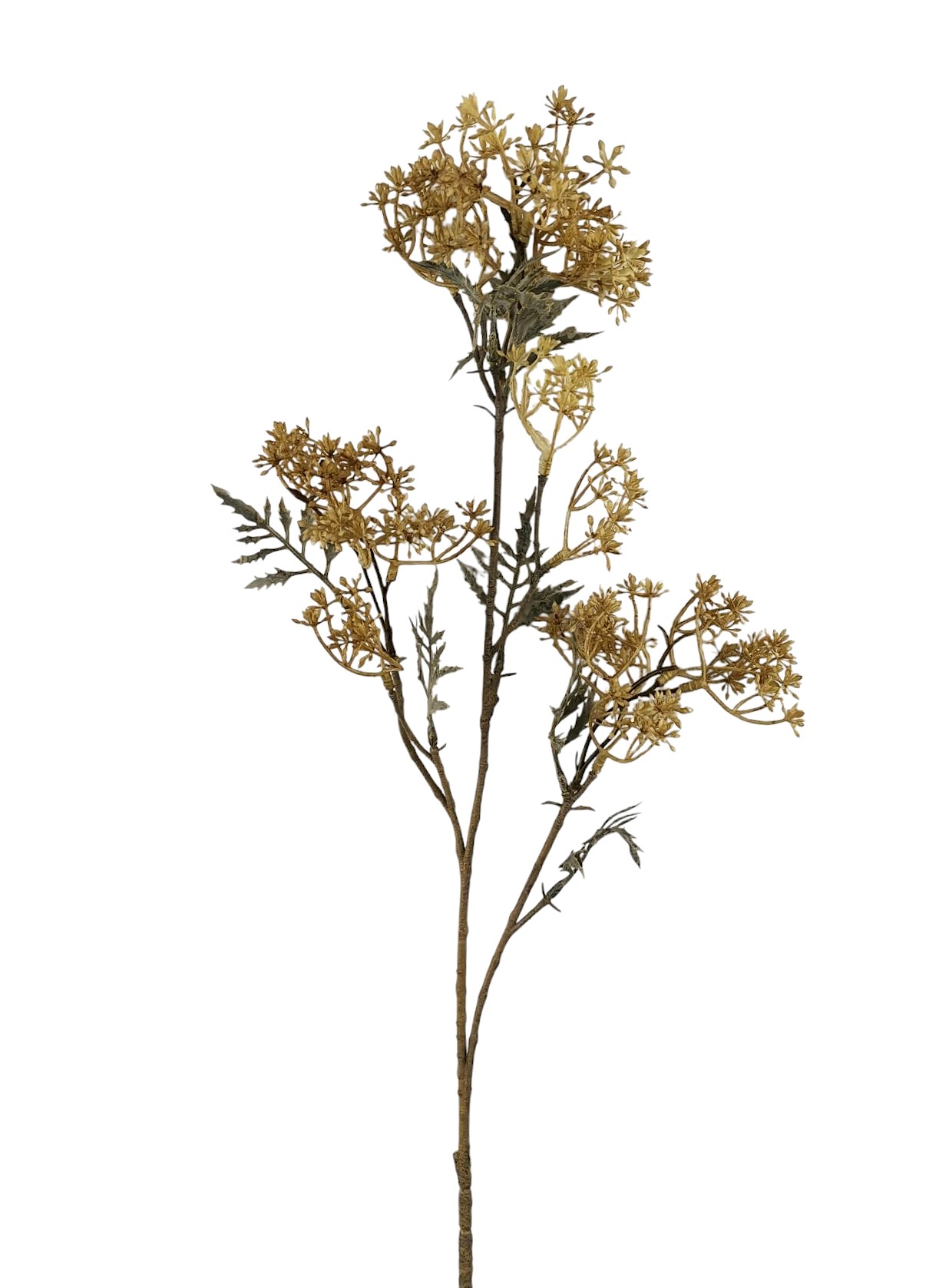 SEDUM SPRAY X3 76CM BG