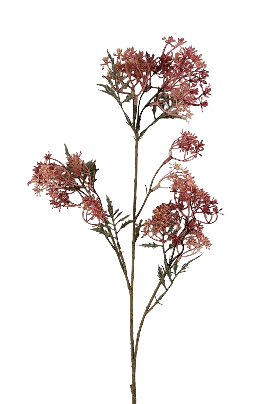 SEDUM SPRAY X3 76CM PK