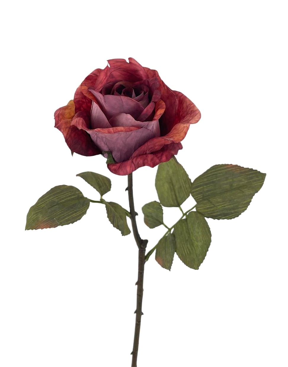 BOCCIOLO DREAM 60CM BU