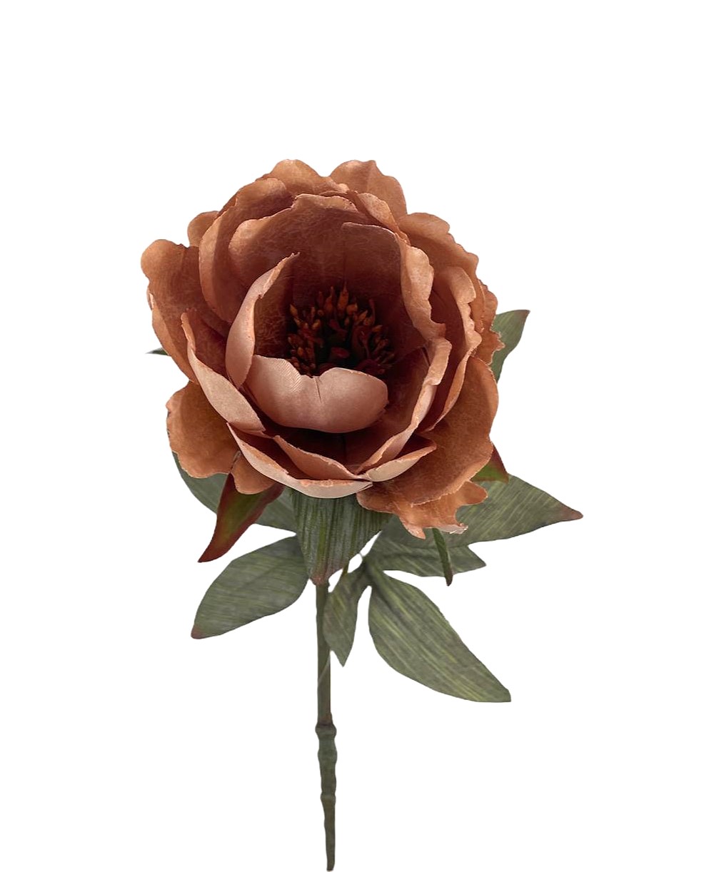 MAGNOLIA DREAM 64CM MV