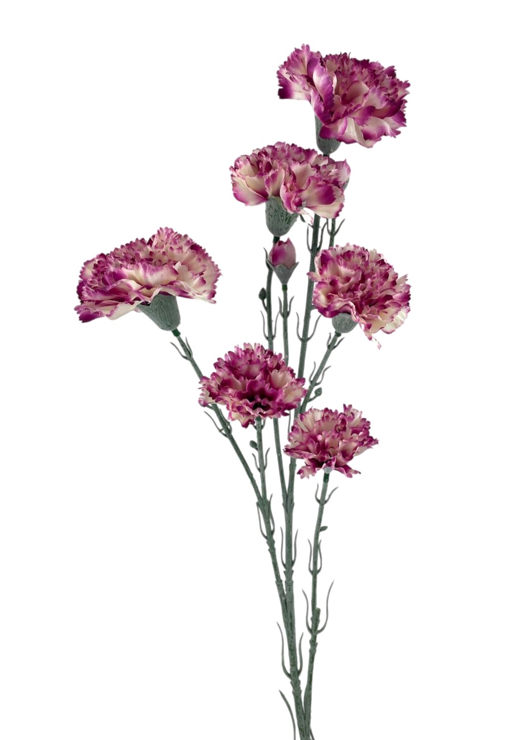 GAROFANO X6 FLWRS 60CM CRBT