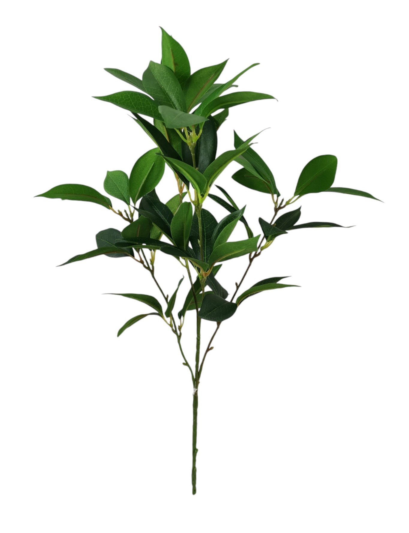 BUSH ALLORO X4 60LVS 50CM UV+ GR