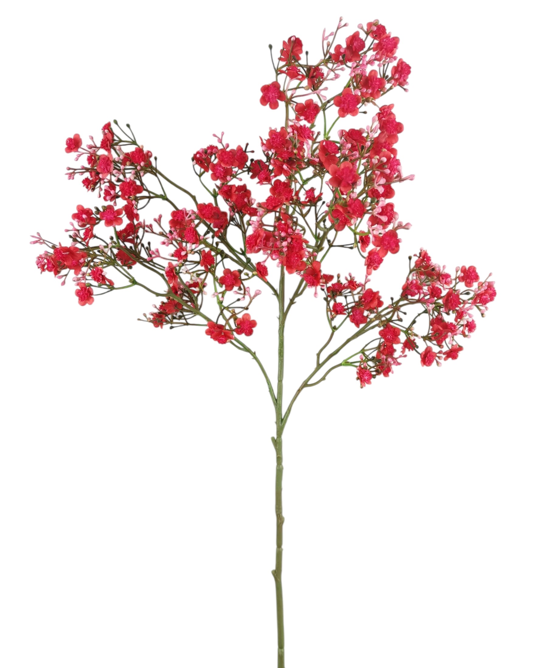 GYPSOPHILA FAIRY SPRAY X5 78CM RD