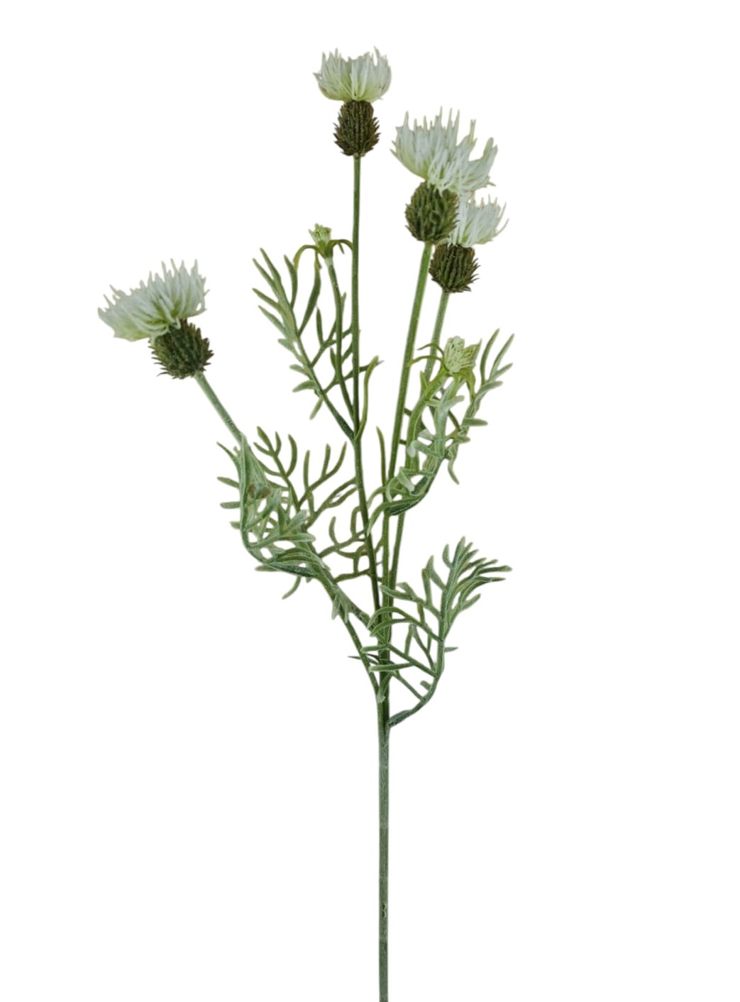 CARDO SPRAY X4 4FLWRS 2BUDS 61CM CR