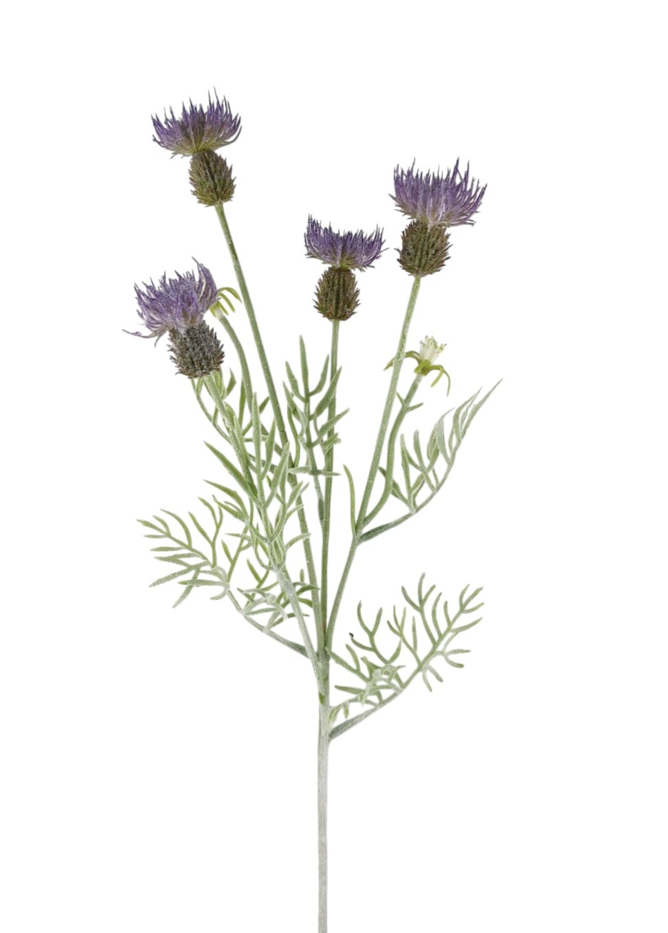 CARDO SPRAY X4 4FLWRS 2BUDS 61CM PU
