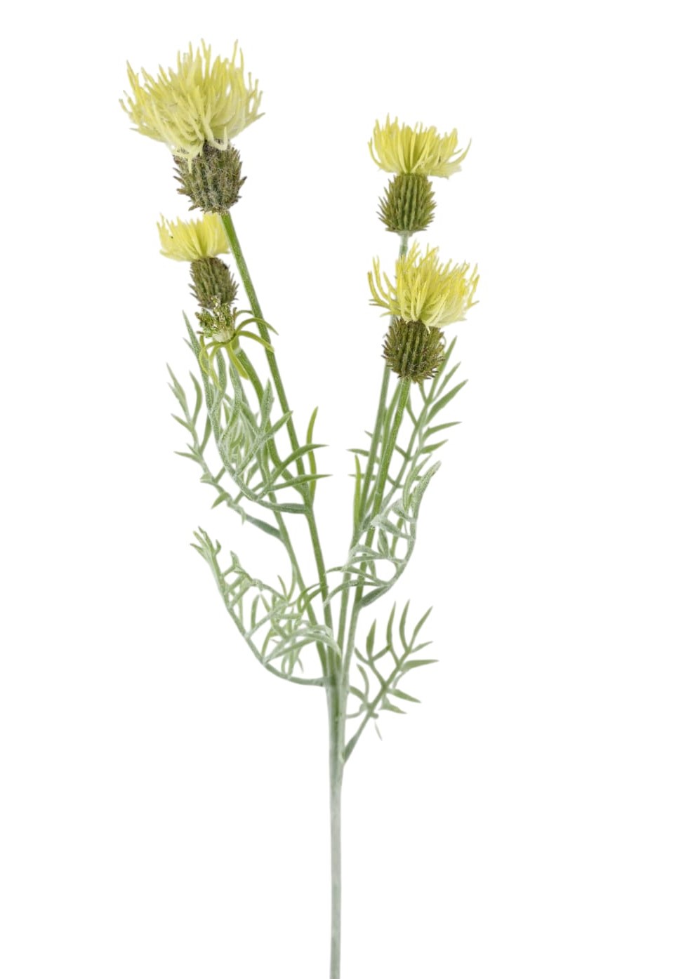 CARDO SPRAY X4 4FLWRS 2BUDS 61CM YL