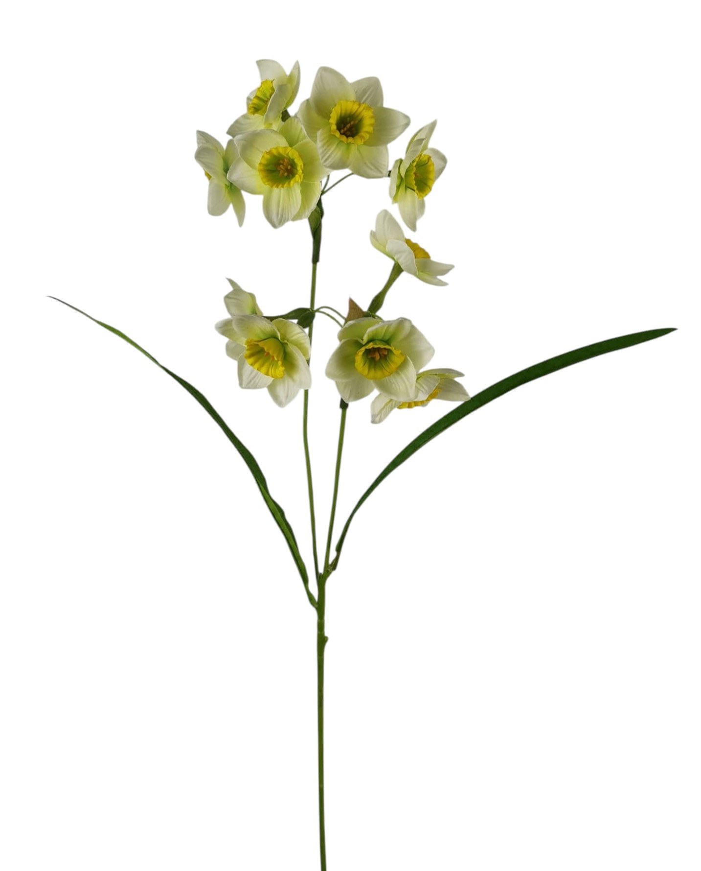 NARCISO SPRAY X2 10FLRWS 2LVS 65CM WH