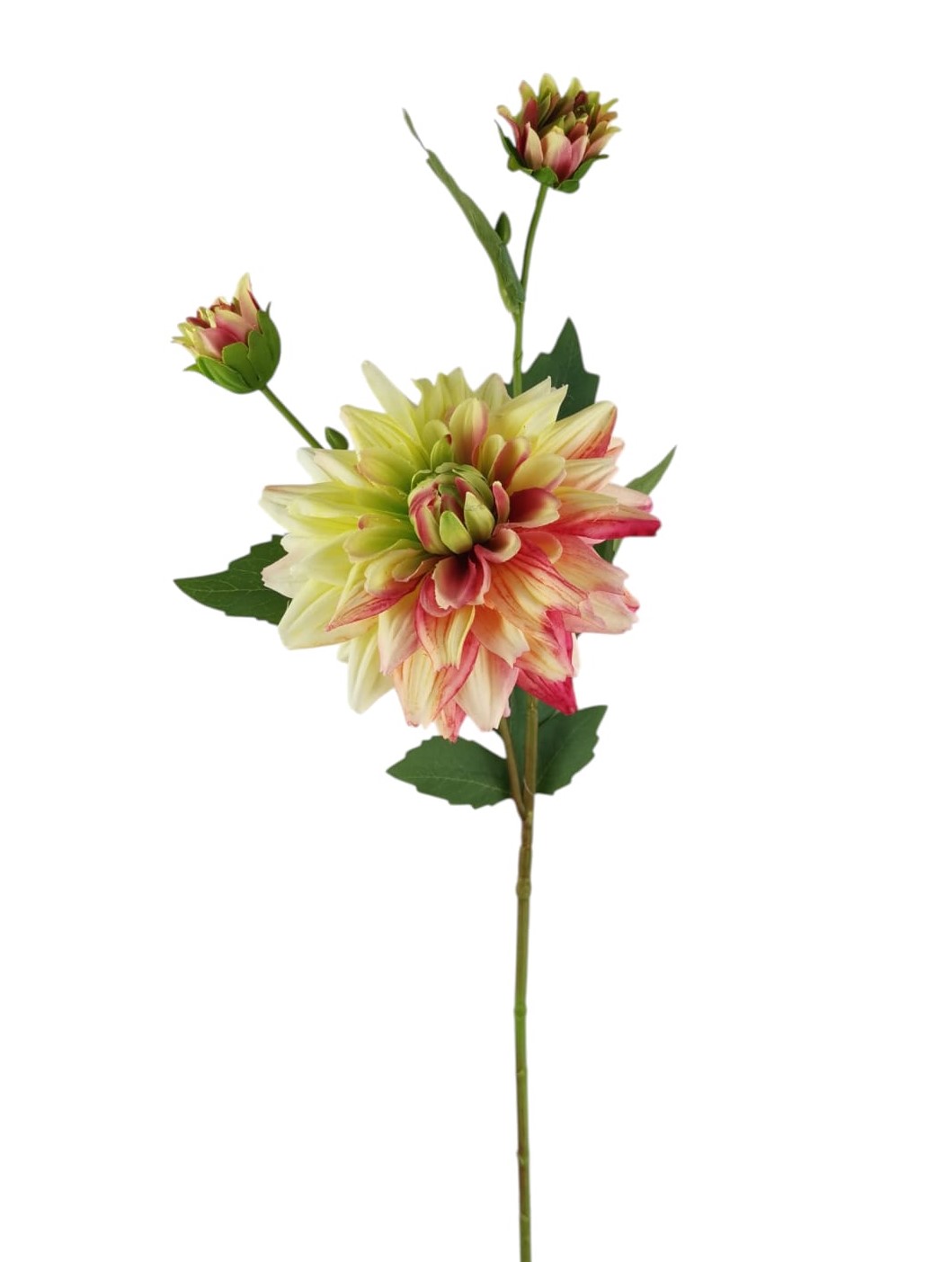 DALIA SPRAY X3 60CM GRPK