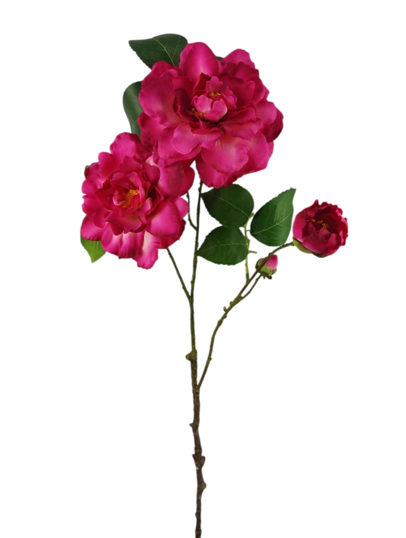 CAMELIA SPRAY X3 66CM BT