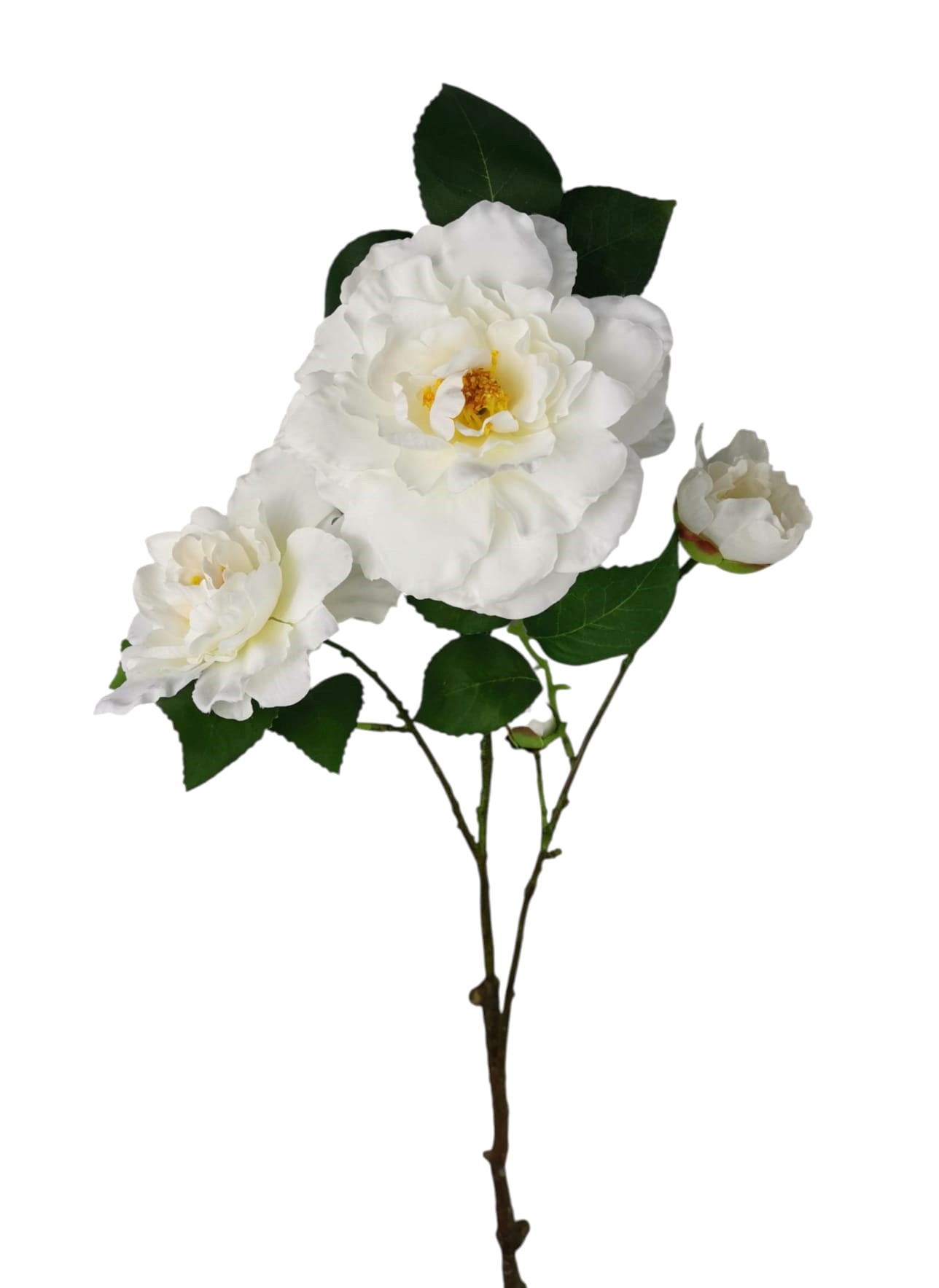 CAMELIA SPRAY X3 66CM CR