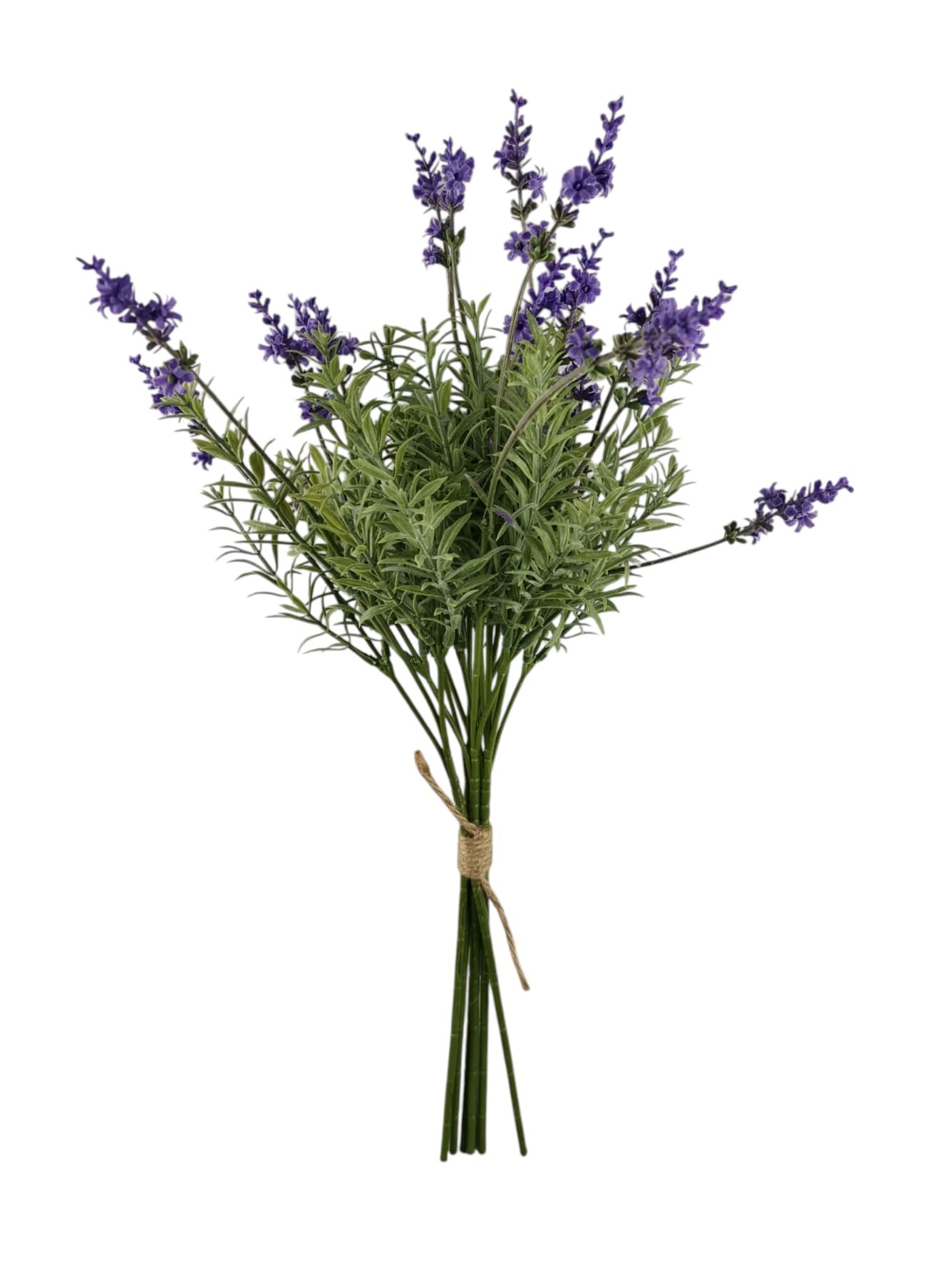 BUNDLE LAVANDA X6 48CM LV