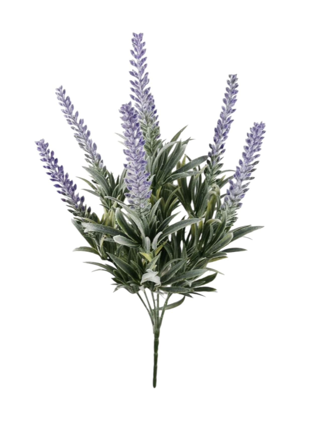 BUSH LAVANDA X7 37CM LV