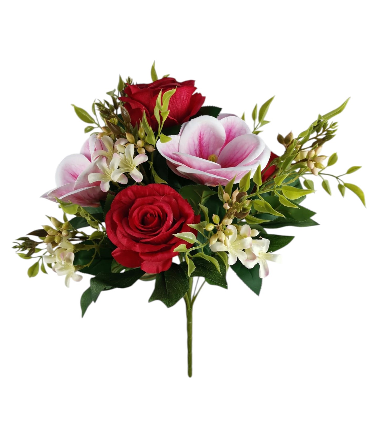 BUSH MAGNOLIA ROSA X13 40CM RD