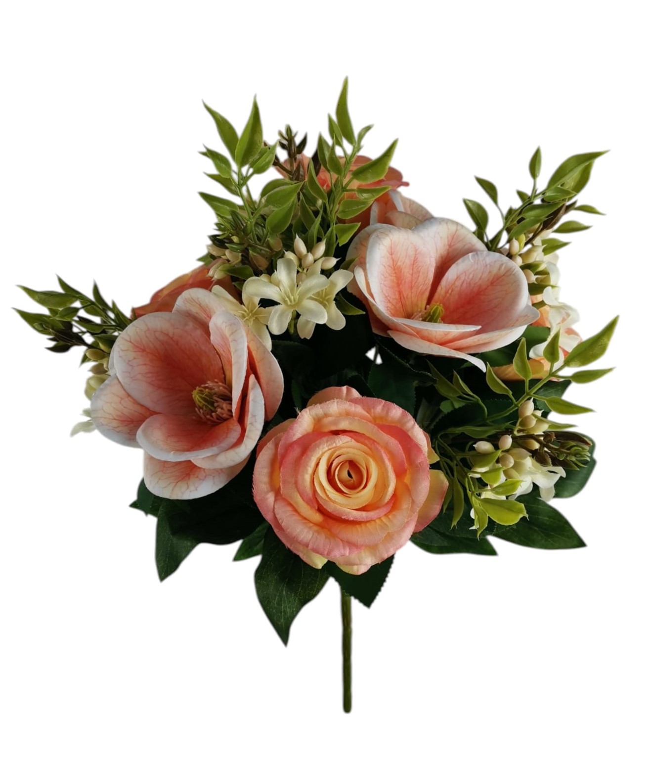 BUSH MAGNOLIA ROSA X3 40CM SA