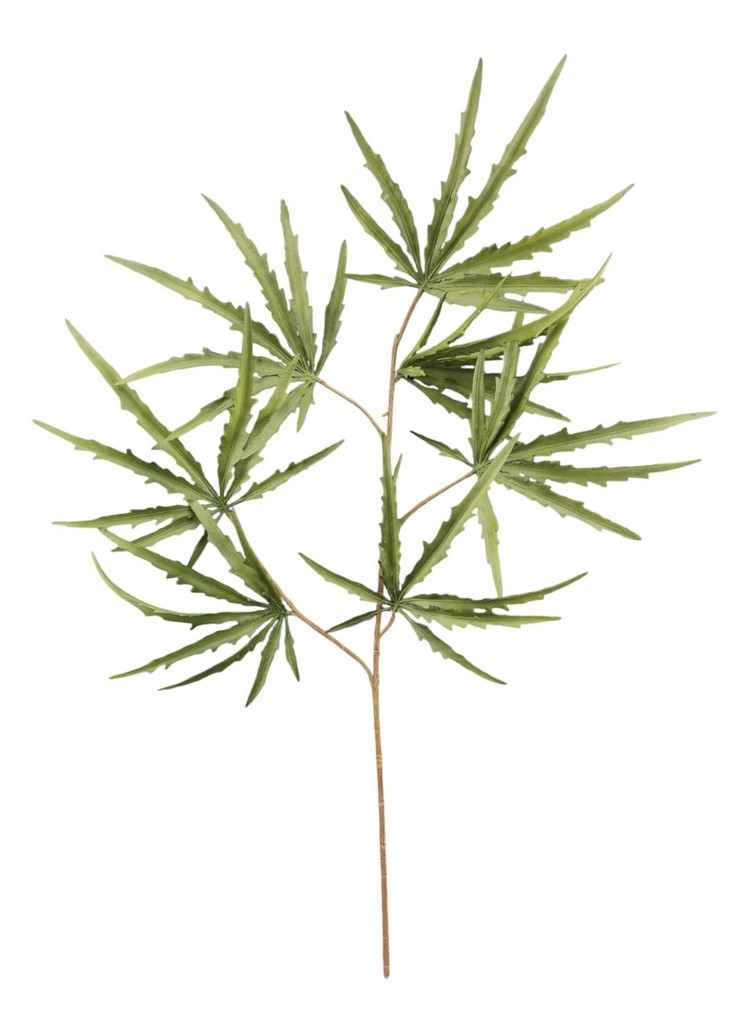 ARALIA RT SPRAY X5 70CM GR