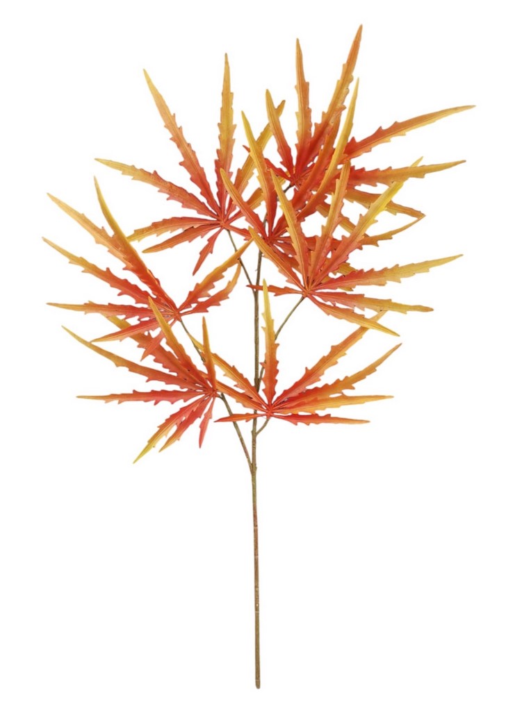 ARALIA RT SPRAY X5 70CM OR