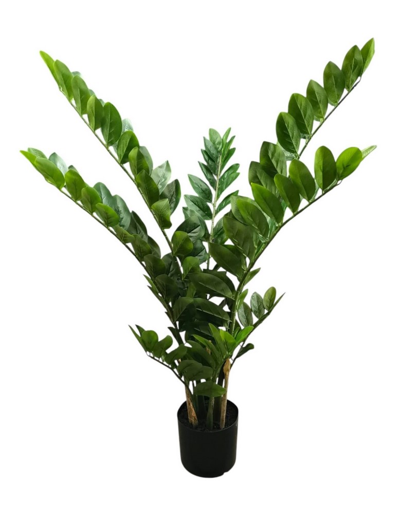 ZAMIFOLIA X9 IN VASO 161LVS 90CM GR