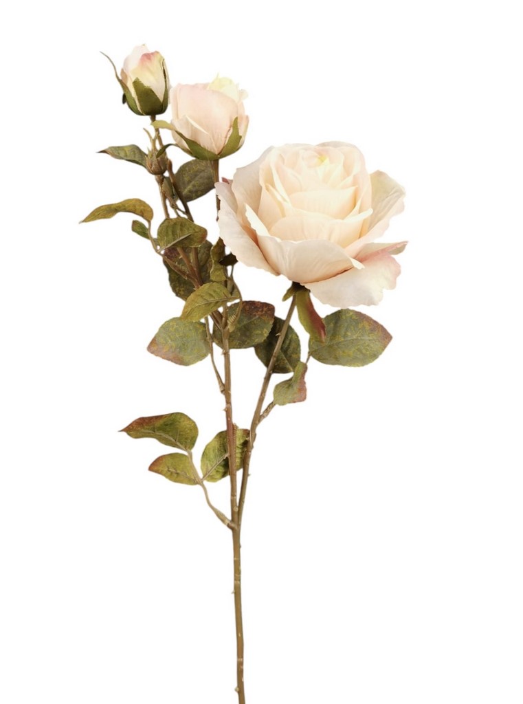 ROSA BOCCIOLO SPRAY X4 66CM CR