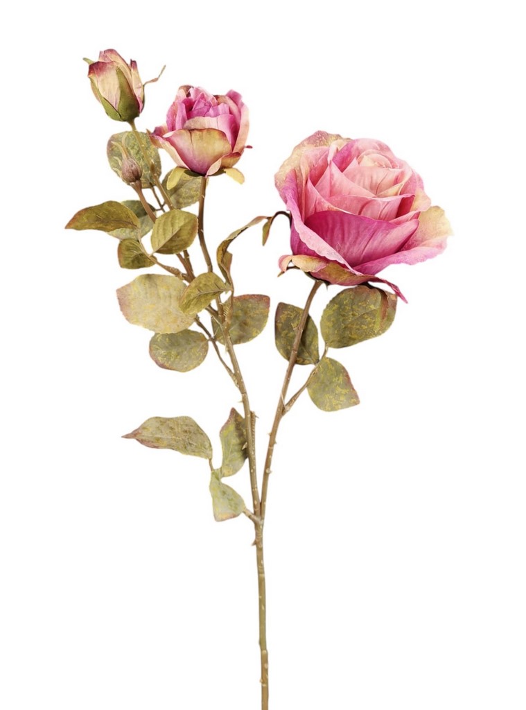 ROSA BOCCIOLO SPRAY X4 66CM LV
