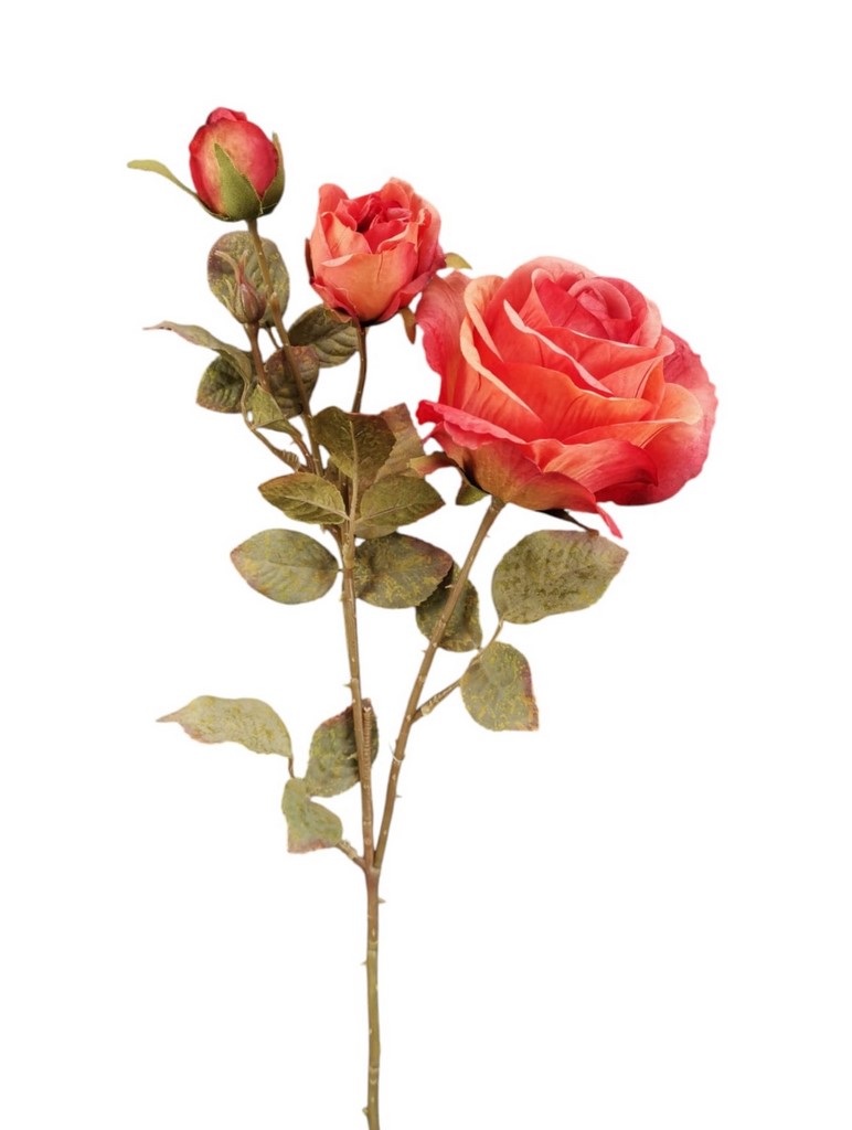 ROSA BOCCIOLO SPRAY X4 66CM OR