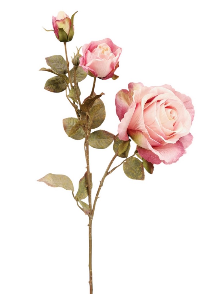ROSA BOCCIOLO SPRAY X4 66CM PK
