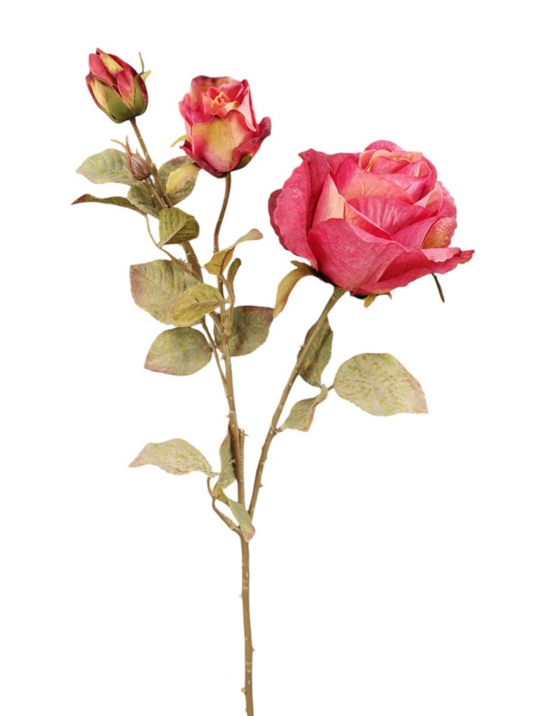ROSA BOCCIOLO SPRAY X4 66CM RD