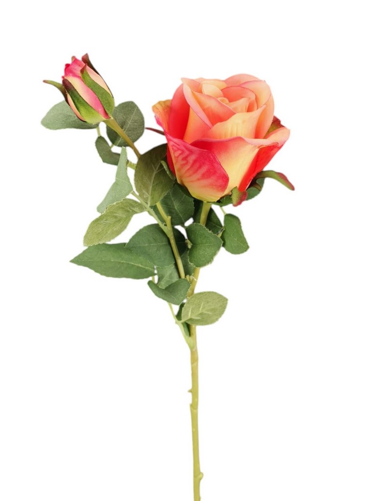 ROSA BOCCIOLO SPRAY X2 62CM OR