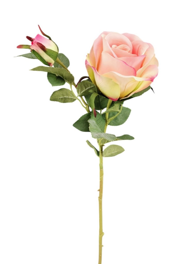 ROSA BOCCIOLO SPRAY X2 62CM SA