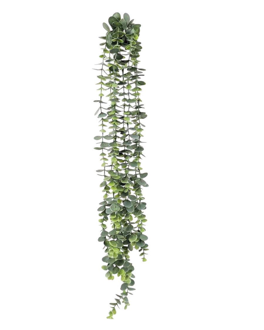 CADENTE EUCALIPTO X8 80CM GR