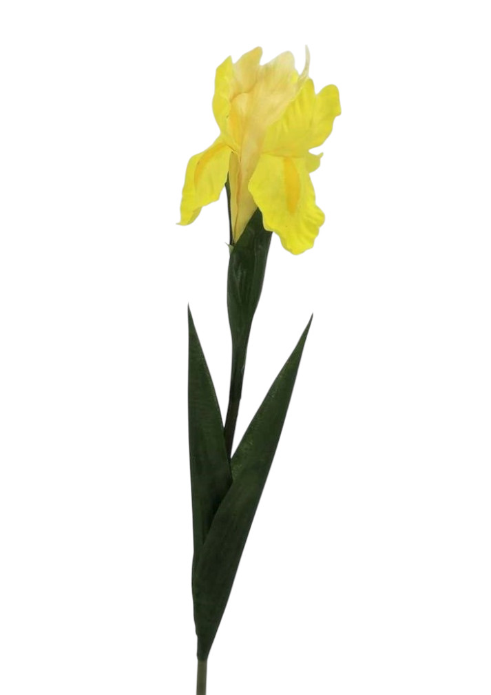 IRIS SPRAY 68CM YL