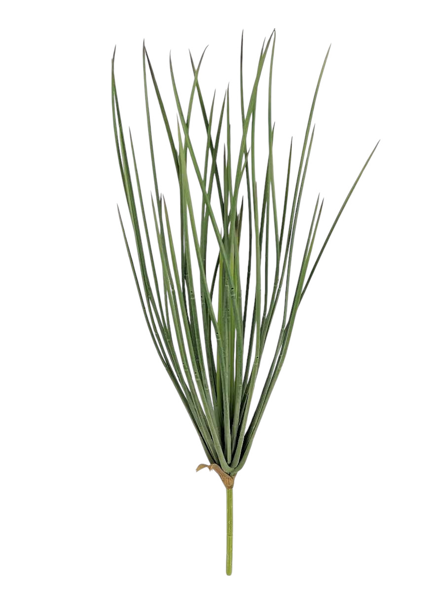 YUCCA SLIM 52CM GR