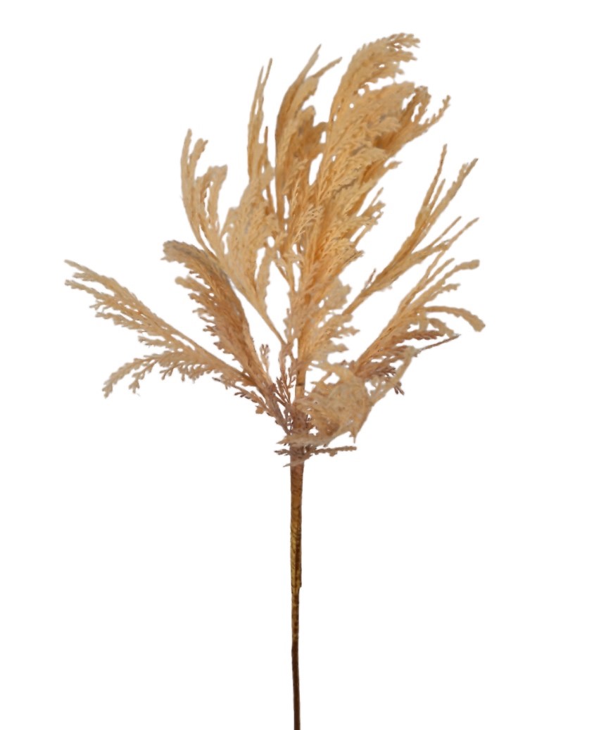 ASTILBE 83CM CR