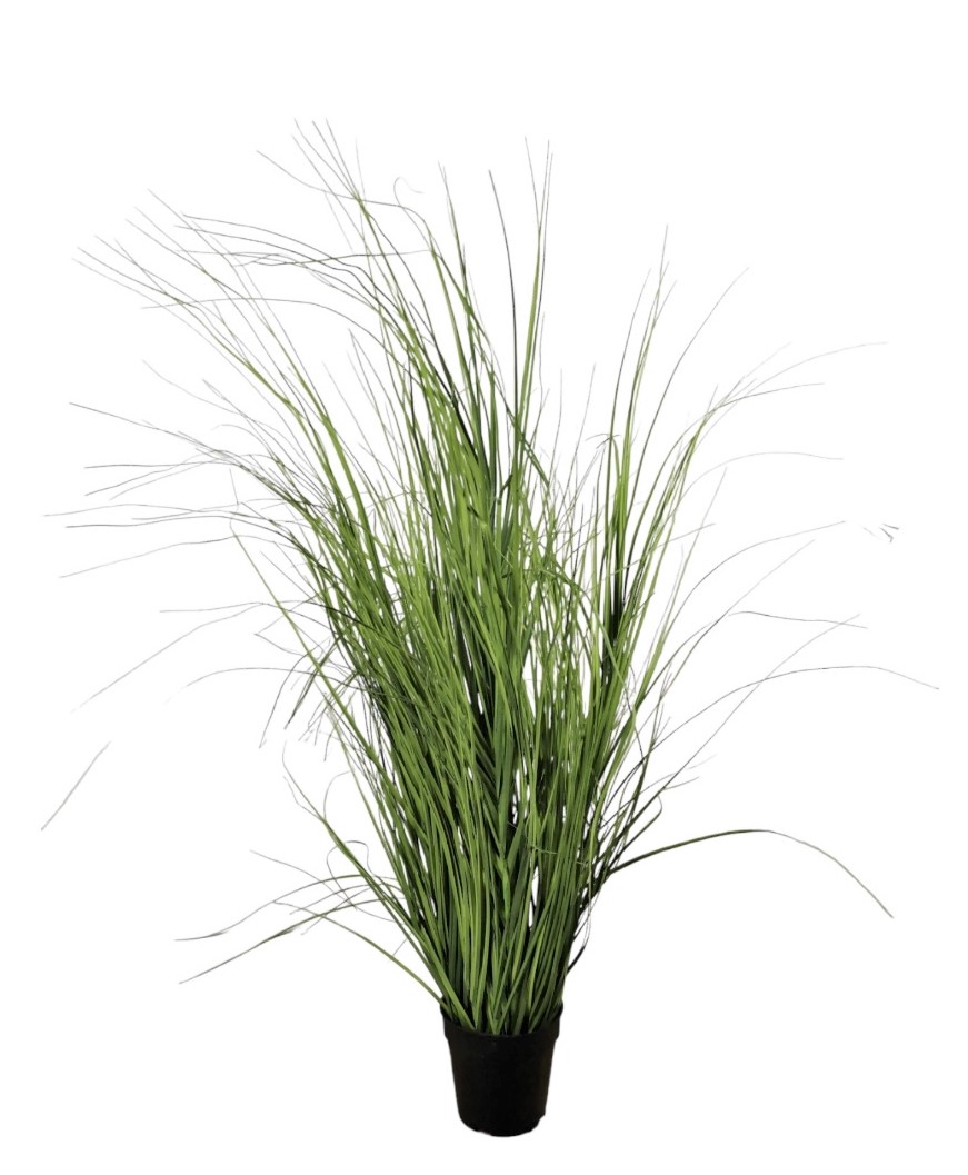 GRASS IN VASO 125CM GR