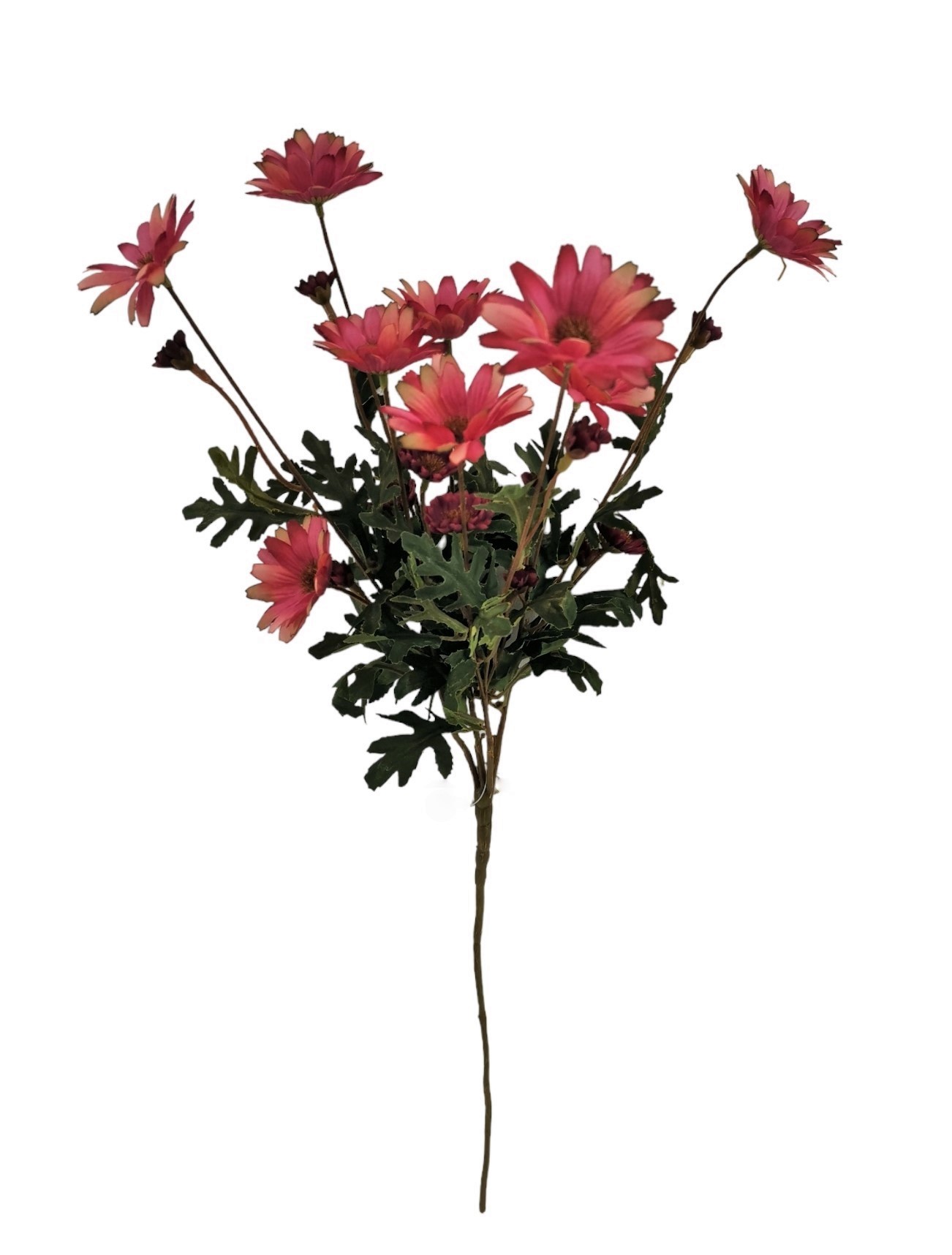 MARGHERITA SPRAY X4 FALL 66CM BT