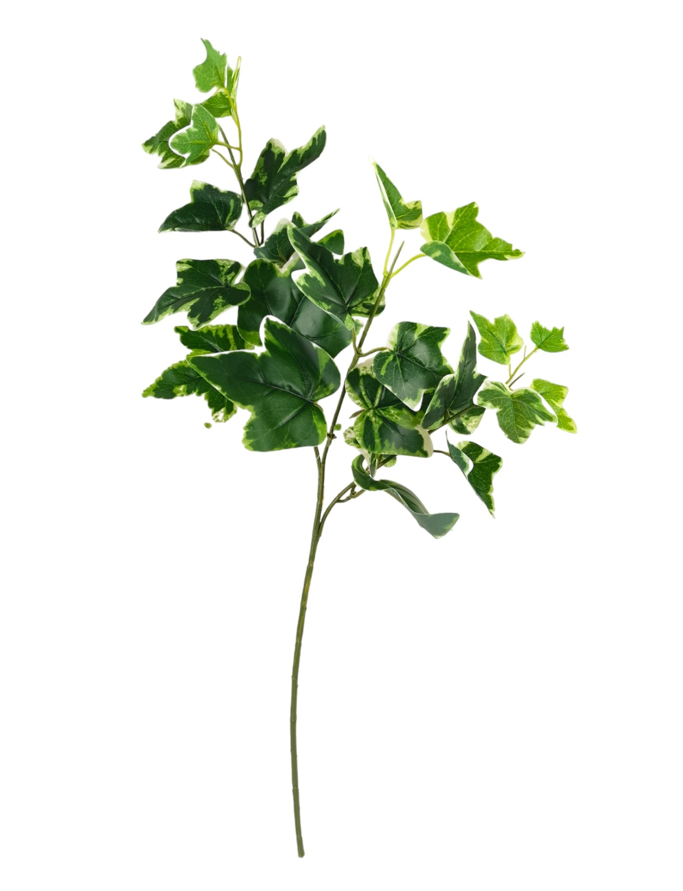 Prodotto