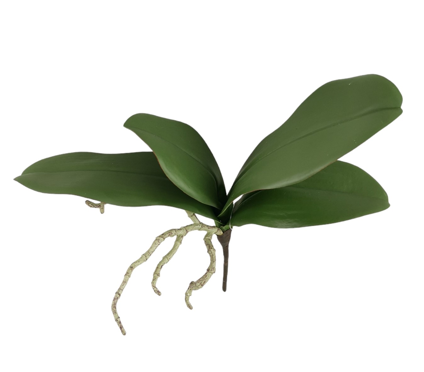 Prodotto