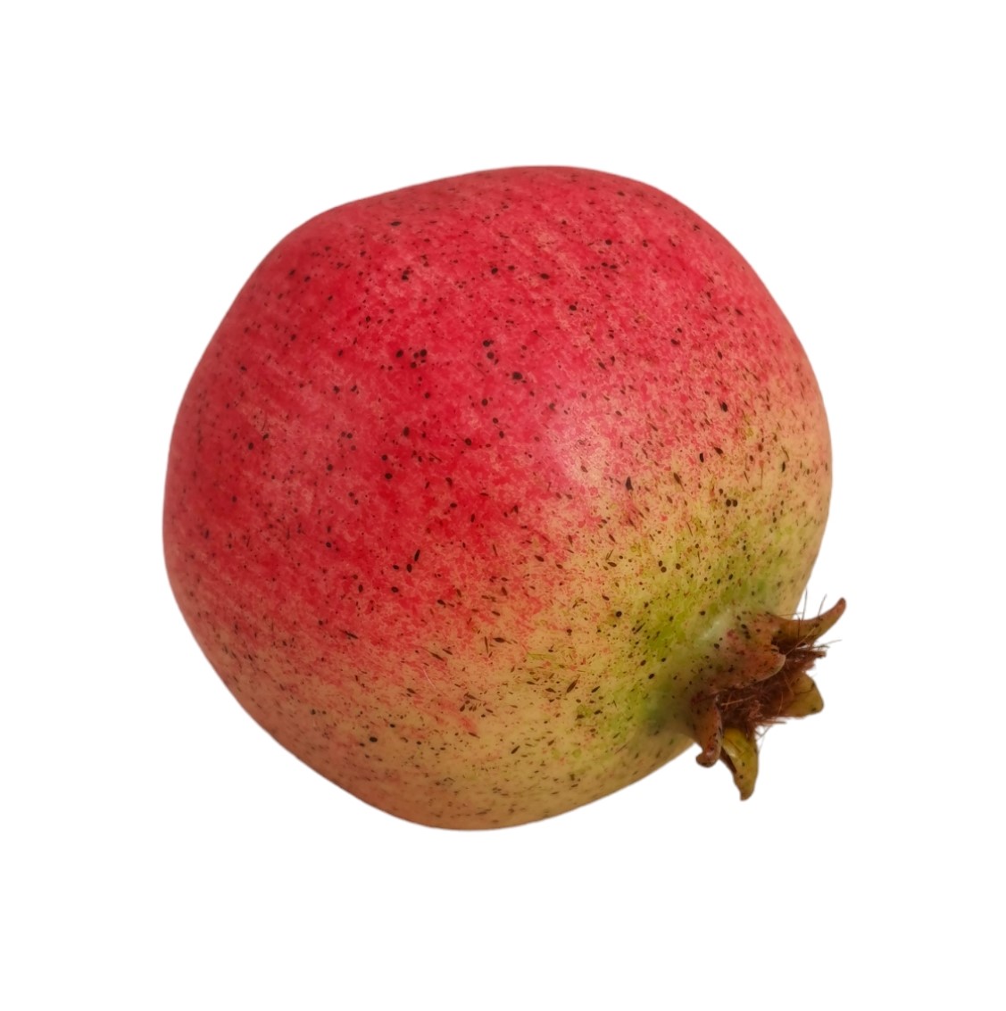 Prodotto