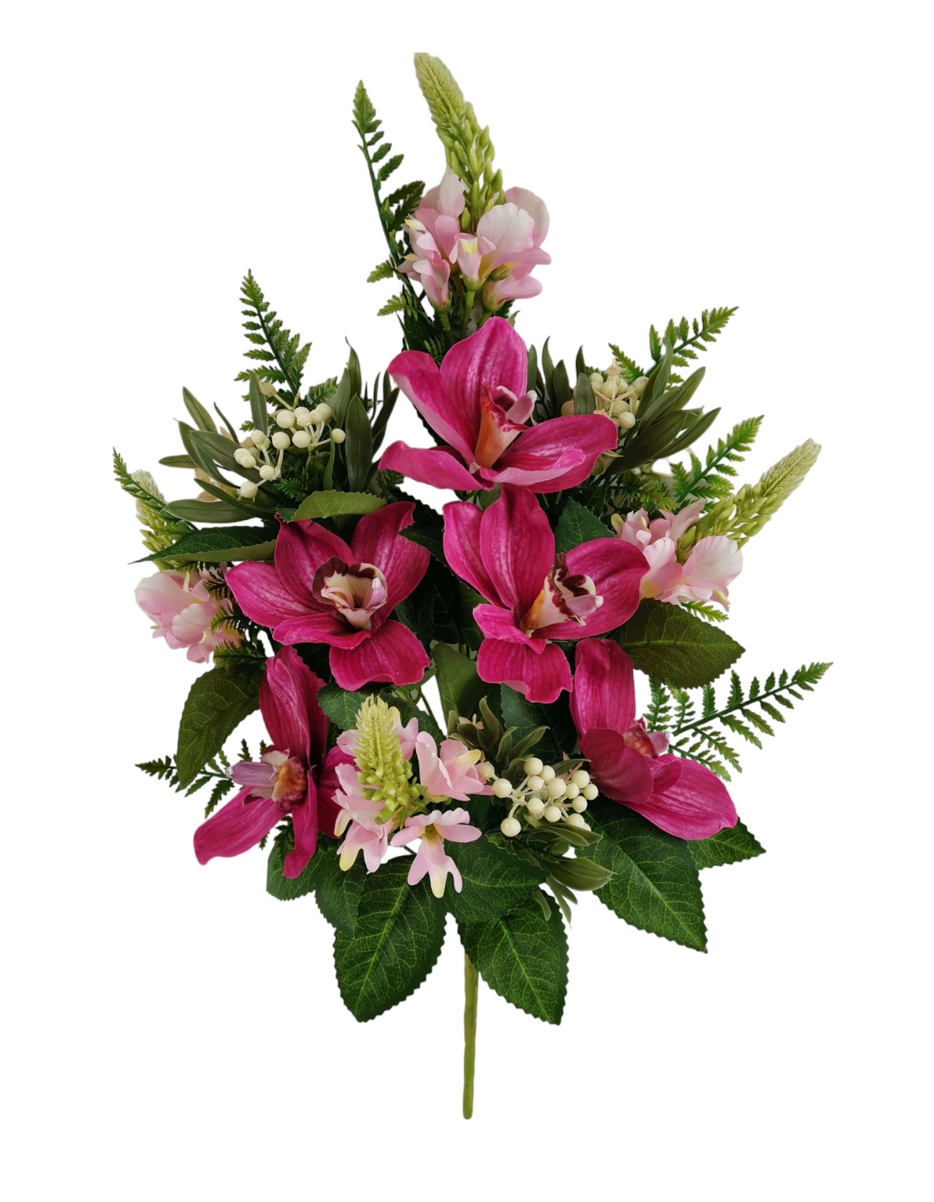 FR CYMBIDIUM X12 60CM BT