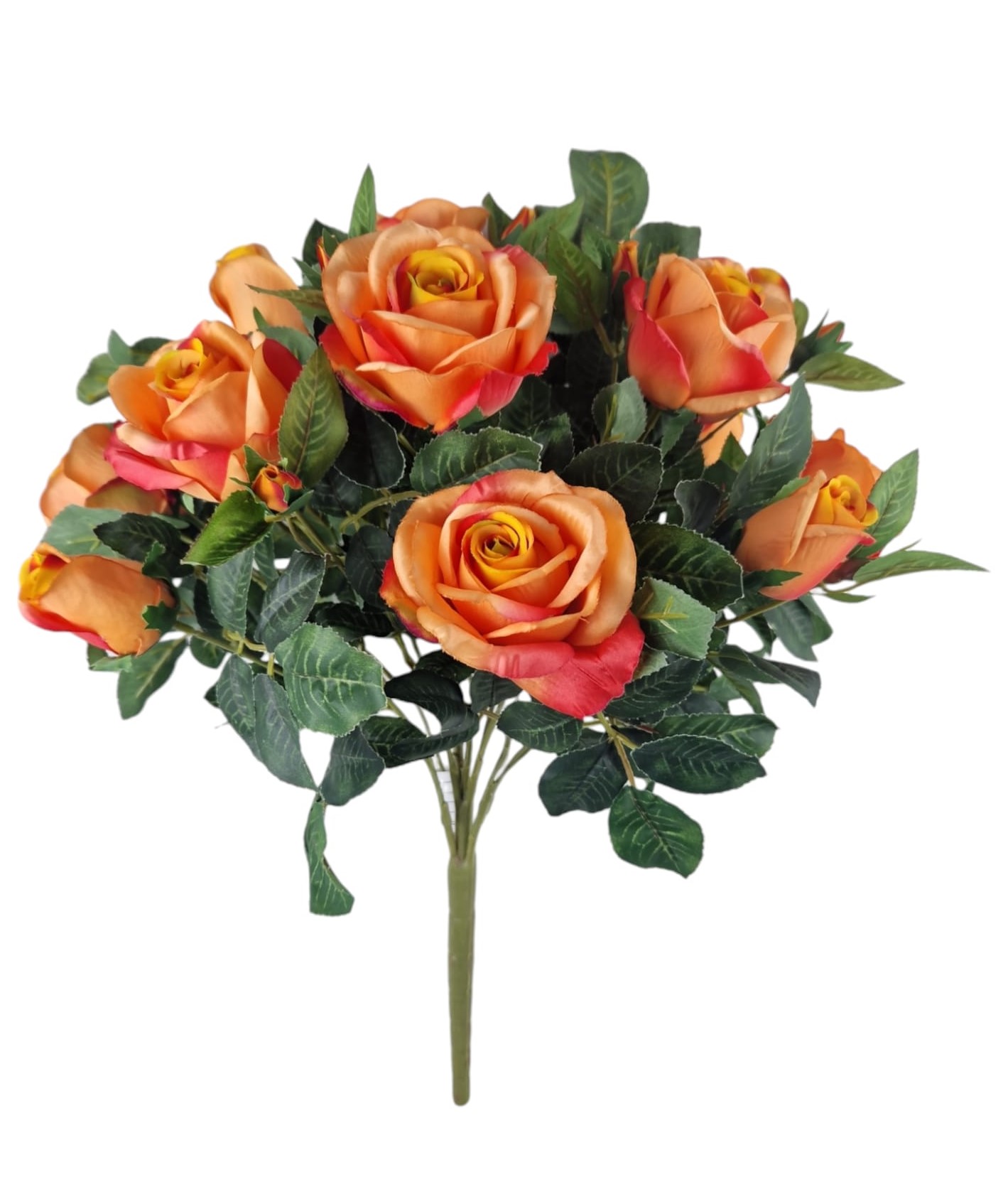 LR016OR