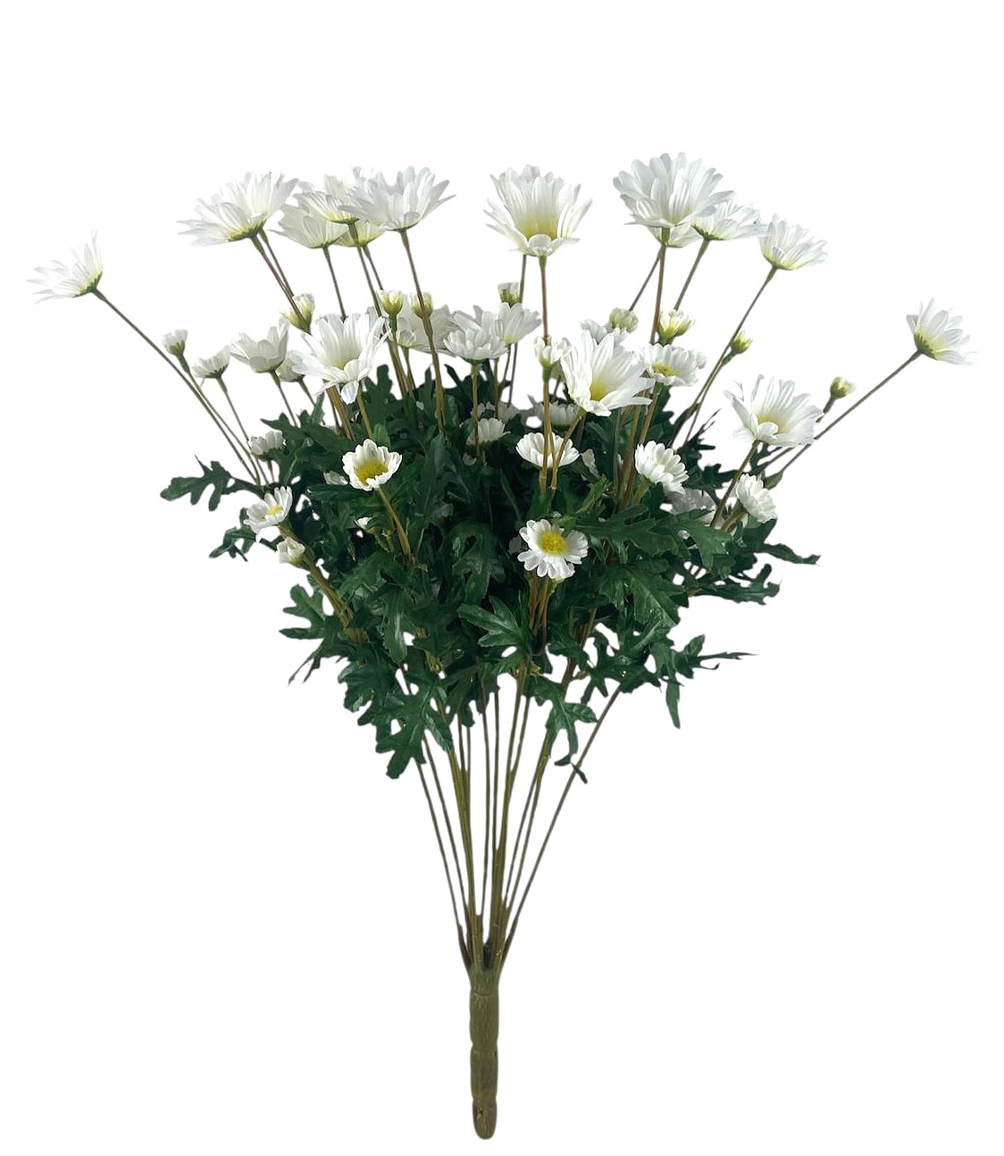 BUSH MARGHERITE X14 60CM WH