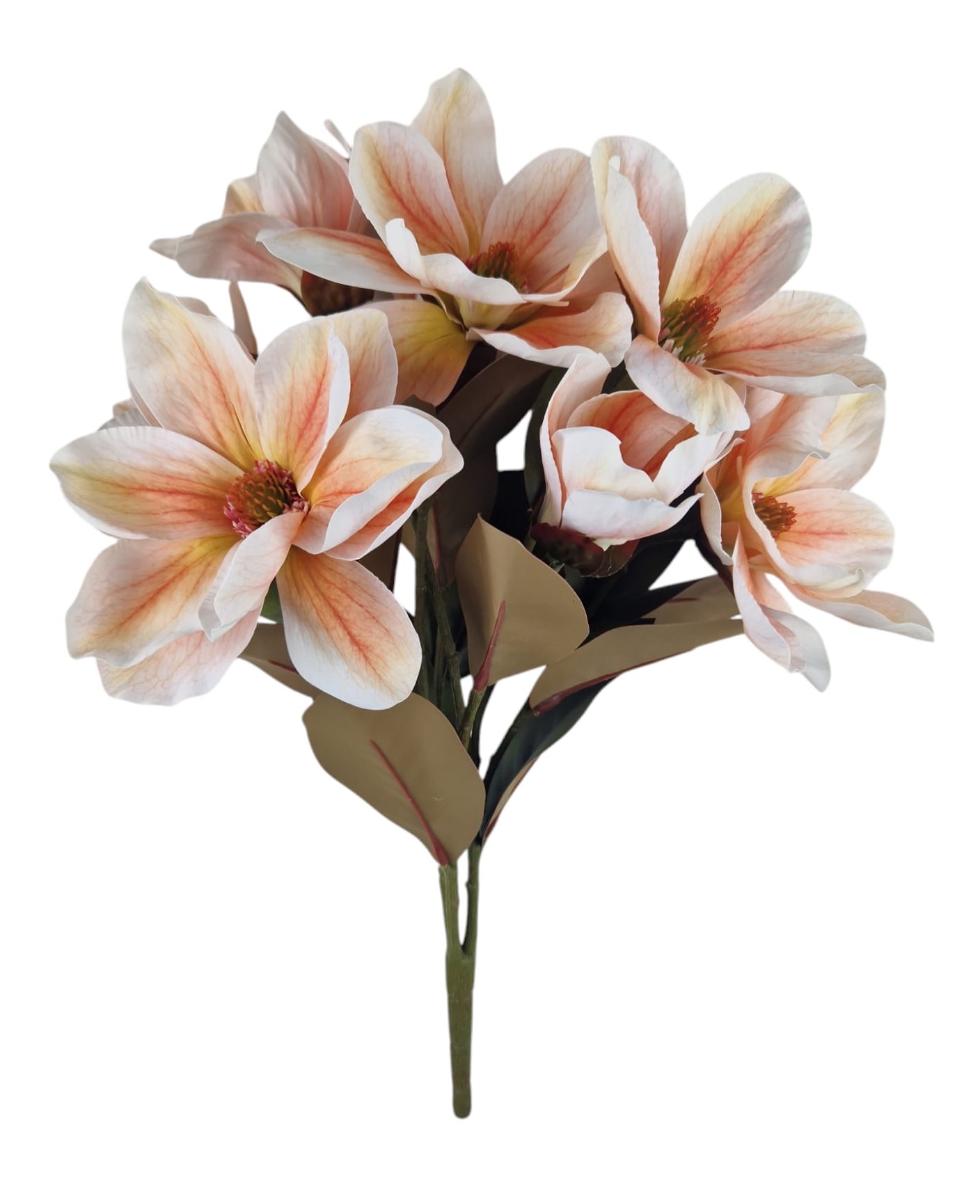 BUSH MAGNOLIA X9 50CM SA