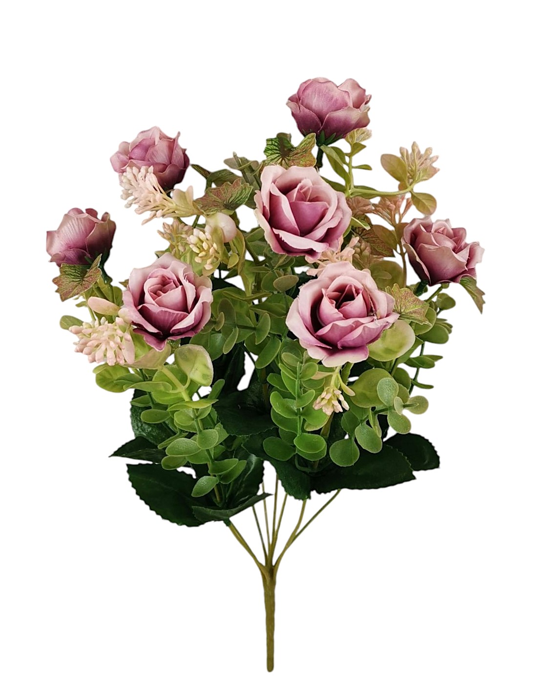 MINI BUSH ROSELLINA ANTIQUE X10 40CM LL