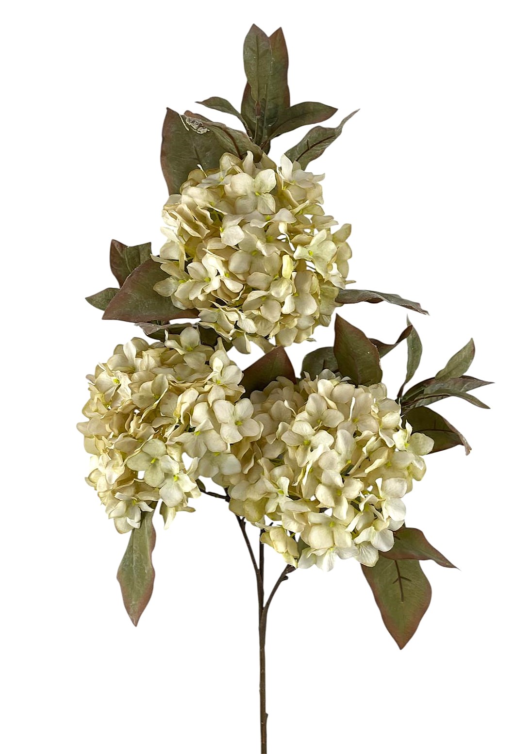 ORTENSIA SPRAY X3 90CM LTGR