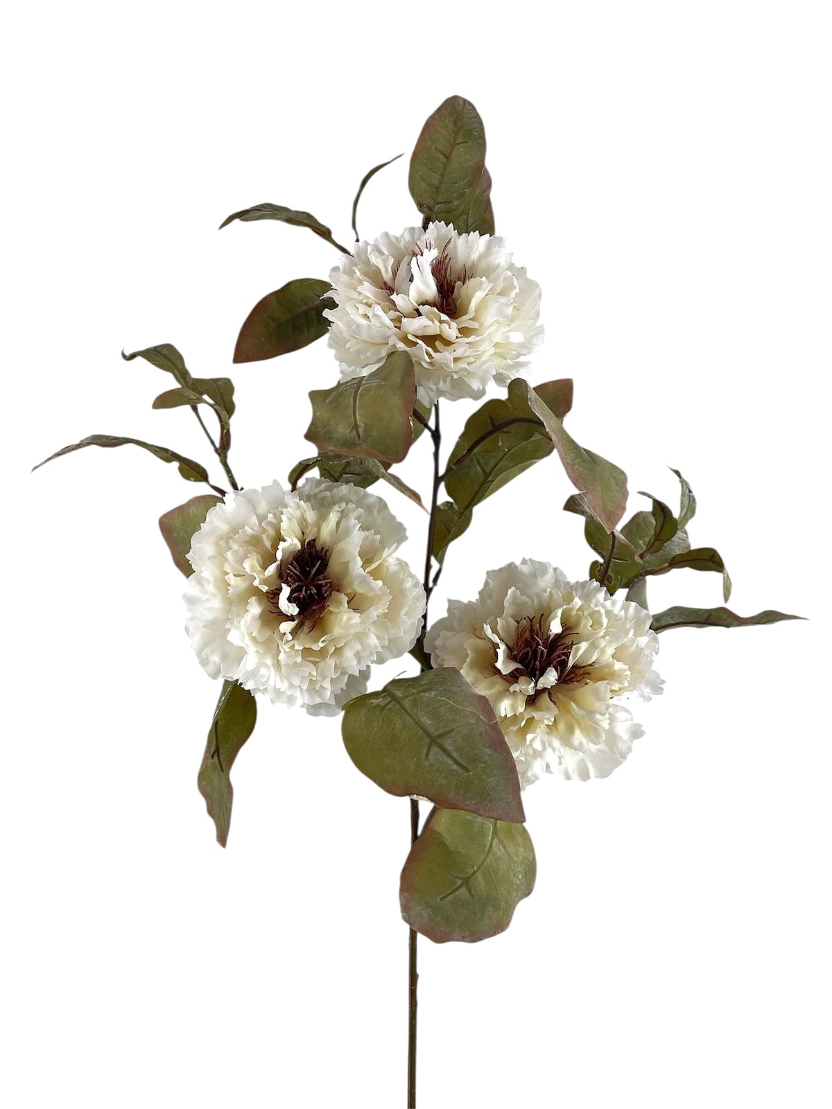 PEONIA SPRAY X3 90CM CR