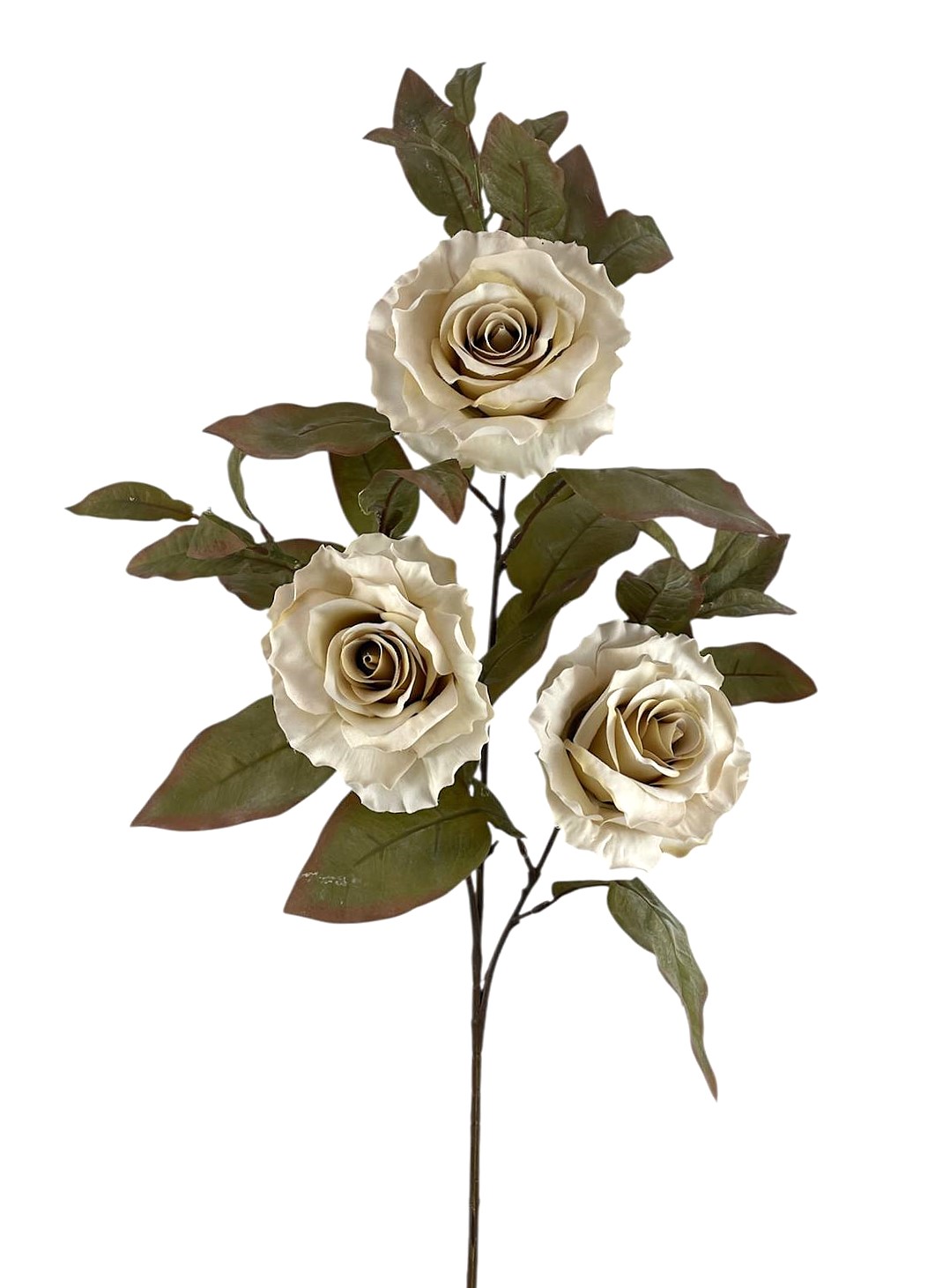 ROSA SPRAY X3 90CM CR