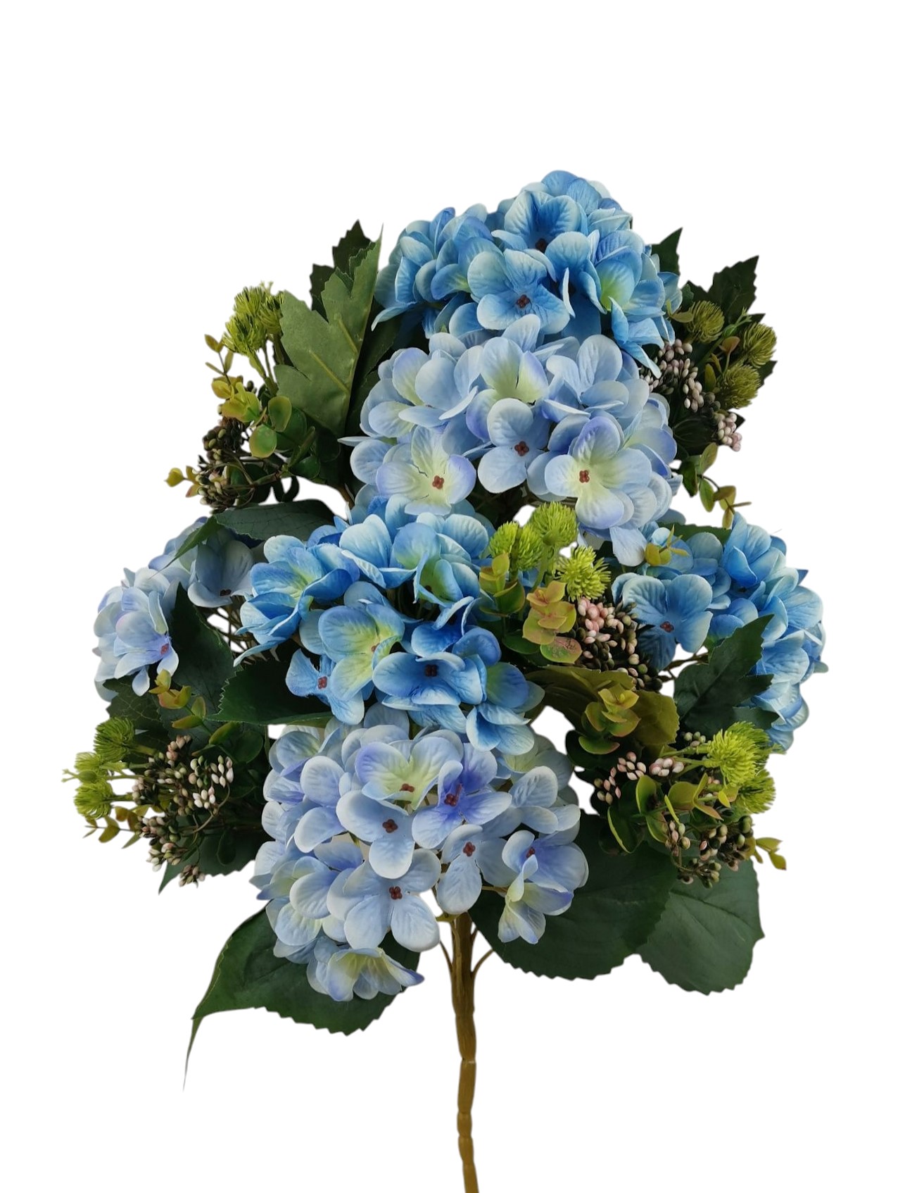 FR ORTENSIA X11 61CM BL